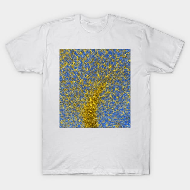 Glial cells, confocal light micrograph (C003/2266) T-Shirt by SciencePhoto